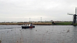 Mesttransport over het water. Boer Rinke op de pont houdt het allemaal in de gaten.