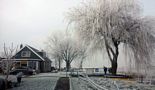 Veel meer hebben we tot nu toe aan winter niet gehad